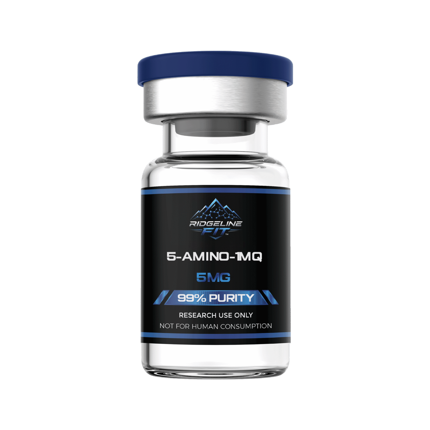 5-AMINO-1MQ