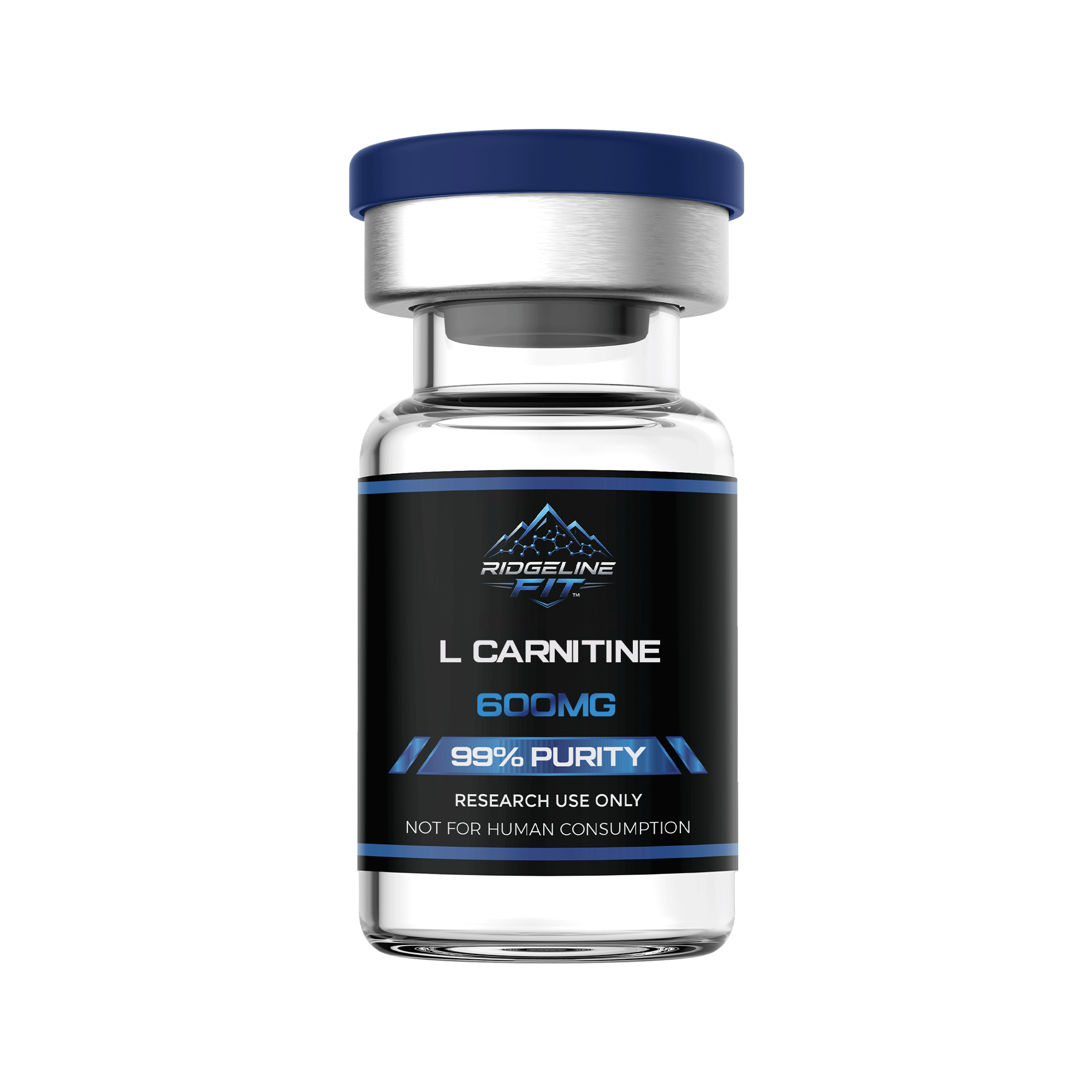 L Carnitine - Image 2